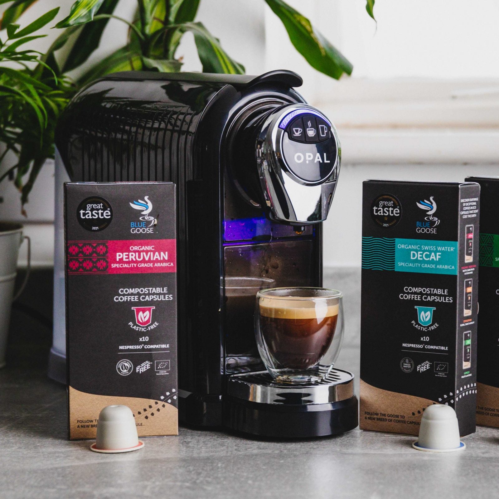 S Files 1 Products Opal One Capsule Machine Bundle Organic Decaf Arabica Plastic Free Eco Coffee Nespresso Pods Blue Goose Coffee Coffee Gift Set